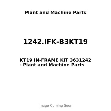 1242.IFK-B3KT19 - KT19 IN-FRAME KIT 3631242