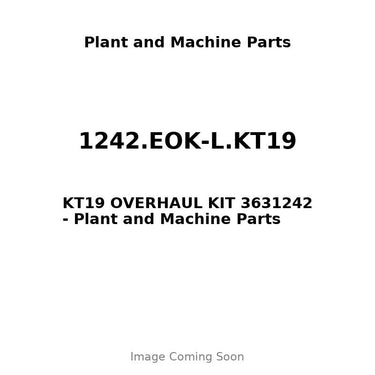 1242.EOK-L.KT19 - KT19 OVERHAUL KIT 3631242