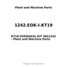 1242.EOK-I.KT19 - KT19 OVERHAUL KIT 3631242