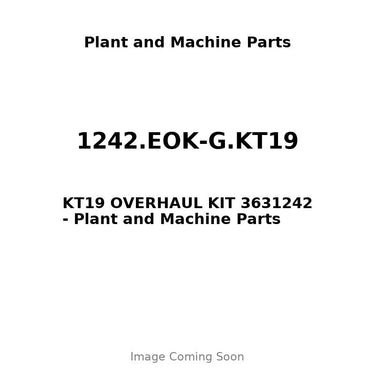 1242.EOK-G.KT19 - KT19 OVERHAUL KIT 3631242