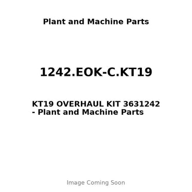 1242.EOK-C.KT19 - KT19 OVERHAUL KIT 3631242