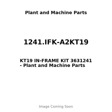 1241.IFK-A2KT19 - KT19 IN-FRAME KIT 3631241