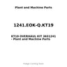 1241.EOK-Q.KT19 - KT19 OVERHAUL KIT 3631241