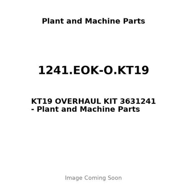 1241.EOK-O.KT19 - KT19 OVERHAUL KIT 3631241