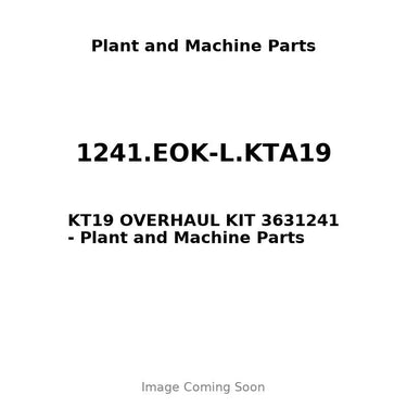 1241.EOK-L.KTA19 - KT19 OVERHAUL KIT 3631241