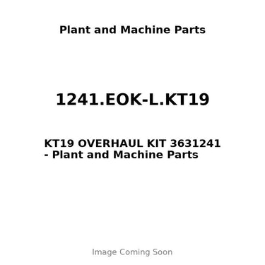 1241.EOK-L.KT19 - KT19 OVERHAUL KIT 3631241
