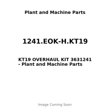 1241.EOK-H.KT19 - KT19 OVERHAUL KIT 3631241