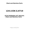 1241.EOK-G.KT19 - KT19 OVERHAUL KIT 3631241