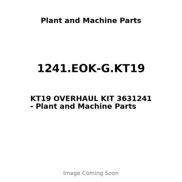 1241.EOK-G.KT19 - KT19 OVERHAUL KIT 3631241