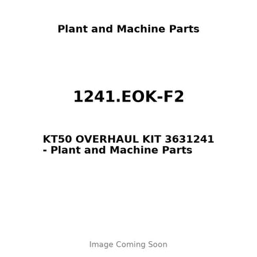 1241.EOK-F2 - KT50 OVERHAUL KIT 3631241