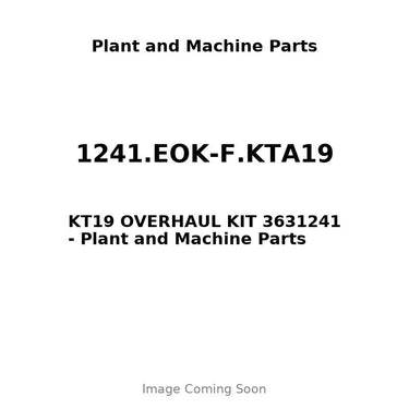 1241.EOK-F.KTA19 - KT19 OVERHAUL KIT 3631241