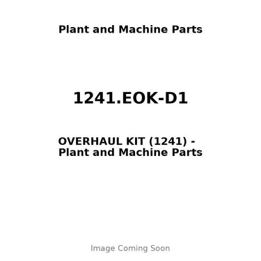 1241.EOK-D1 - OVERHAUL KIT (1241)