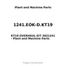 1241.EOK-D.KT19 - KT19 OVERHAUL KIT 3631241