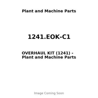 1241.EOK-C1 - OVERHAUL KIT (1241)