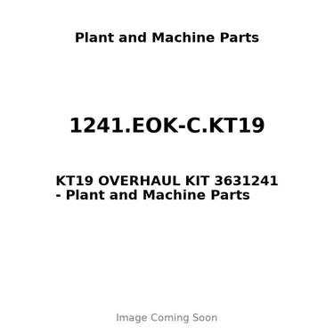 1241.EOK-C.KT19 - KT19 OVERHAUL KIT 3631241