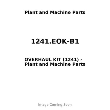 1241.EOK-B1 - OVERHAUL KIT (1241)