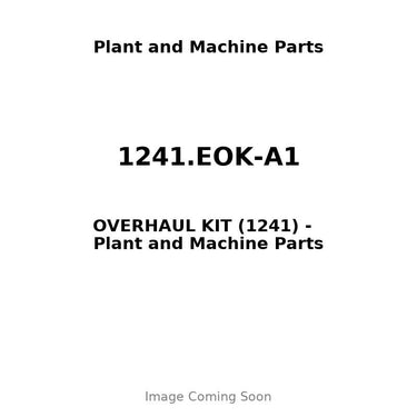 1241.EOK-A1 - OVERHAUL KIT (1241)