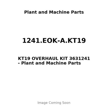 1241.EOK-A.KT19 - KT19 OVERHAUL KIT 3631241