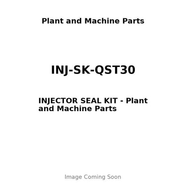 INJ-SK-QST30 - INJECTOR SEAL KIT