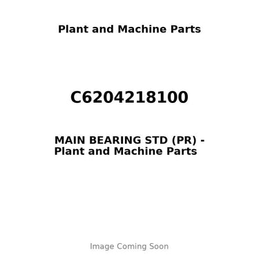C6204218100 - MAIN BEARING STD (PR)