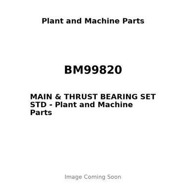 BM99820 - MAIN & THRUST BEARING SET STD