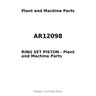 AR12098 - RING SET PISTON