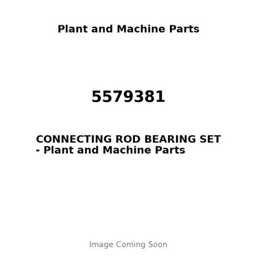 5579381 - CONNECTING ROD BEARING SET