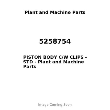 5258754 - PISTON BODY C/W CLIPS - STD