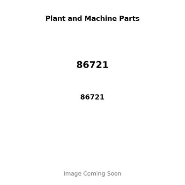 86721 - PISTON, PIN & CLIPS