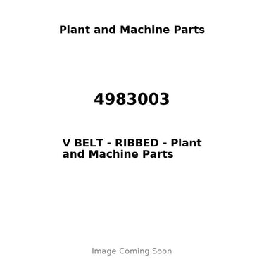 4983003 - V BELT - RIBBED