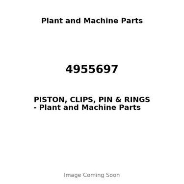 4955697 - PISTON, CLIPS, PIN & RINGS