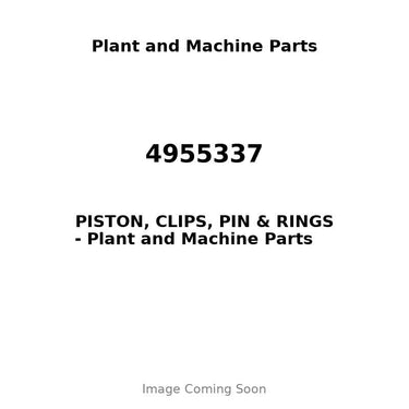 4955337 - PISTON, CLIPS, PIN & RINGS