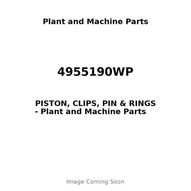 4955190WP - PISTON, CLIPS, PIN & RINGS