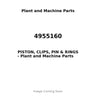 4955160 - PISTON, CLIPS, PIN & RINGS