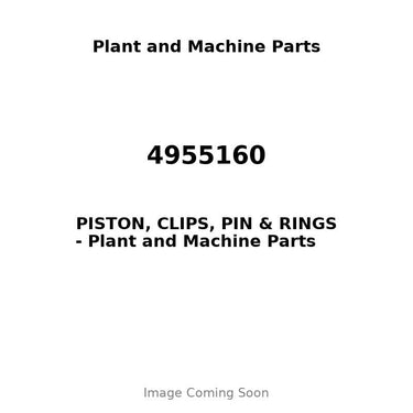 4955160 - PISTON, CLIPS, PIN & RINGS