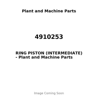 4910253 - RING PISTON (INTERMEDIATE)