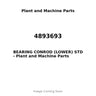 4893693 - BEARING CONROD (LOWER) STD