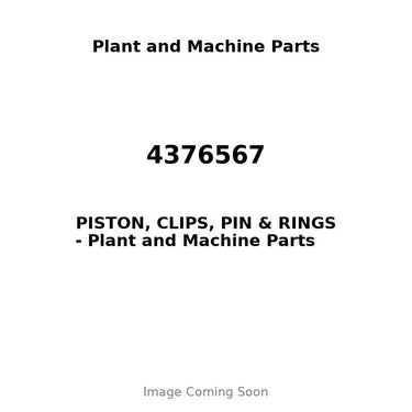 4376567 - PISTON, CLIPS, PIN & RINGS