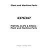 4376347 - PISTON, CLIPS & RINGS