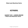 4376091 - GASKET SET - LOWER ENGINE