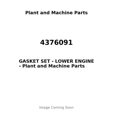 4376091 - GASKET SET - LOWER ENGINE