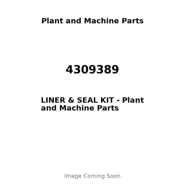 4309389 - LINER & SEAL KIT