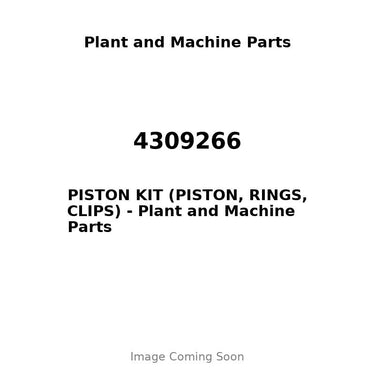 4309266 - PISTON KIT (PISTON, RINGS, CLIPS)