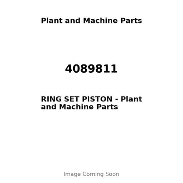 4089811 - RING SET PISTON