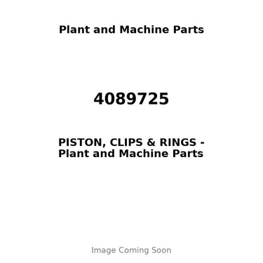4089725 - PISTON, CLIPS & RINGS