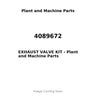 4089672 - EXHAUST VALVE KIT