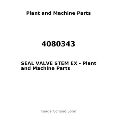 4080343 - SEAL VALVE STEM EX