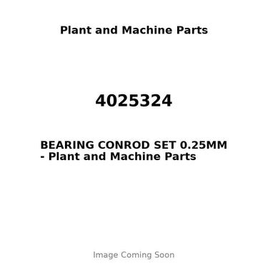 4025324 - BEARING CONROD SET 0.25MM