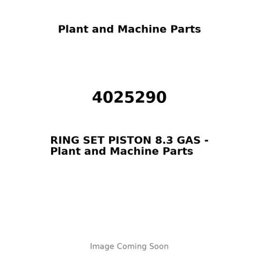 4025290 - RING SET PISTON 8.3 GAS