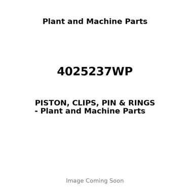4025237WP - PISTON, CLIPS, PIN & RINGS
